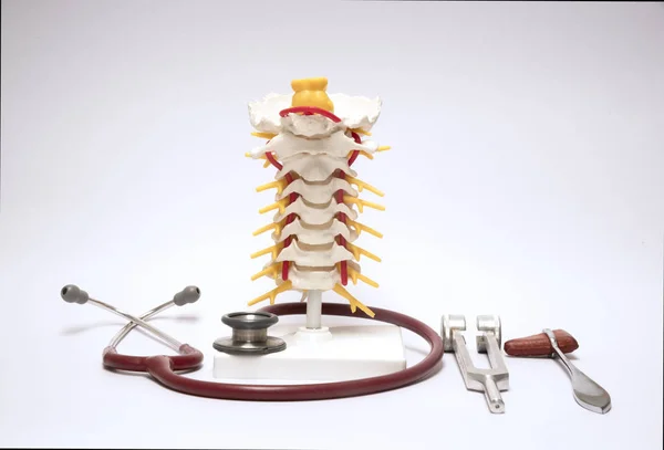 Modelo e equipamentos da coluna vertebral — Fotografia de Stock