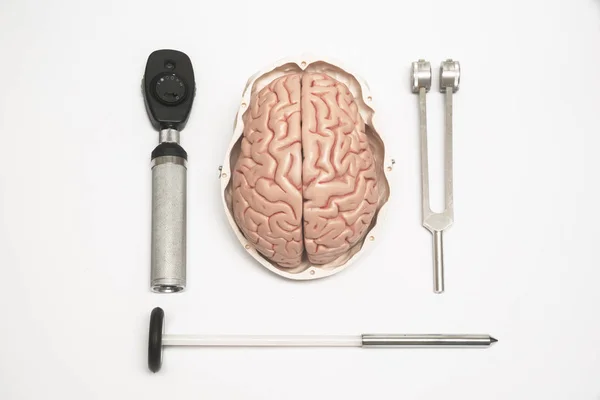 Brain model and neurological equipment — Stock Photo, Image