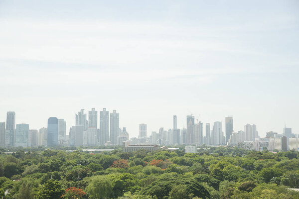 Green trees in Lumpini park and buildings in the city of Bangkok