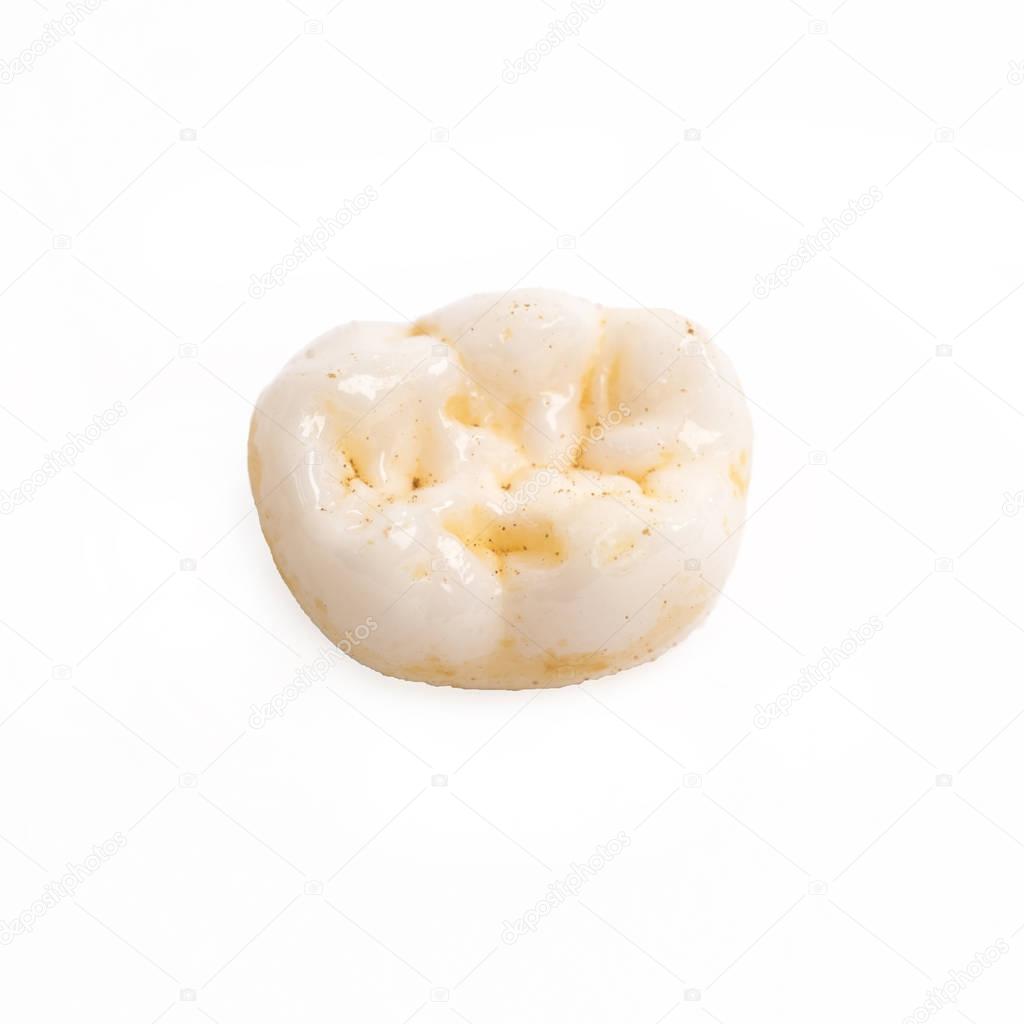 Milk tooth on the white background, molar tooth