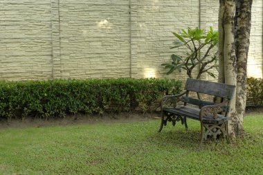 Parkta ahşap bir bank.