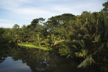 Güneşli bir kasık park