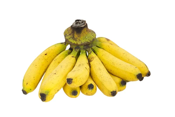 Um bando de bananas cavendish isoladas em fundo branco — Fotografia de Stock