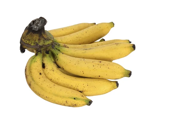 Cavendish banán Elszigetelt fehér alapon — Stock Fotó