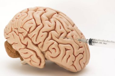 Şırınga iğne ve beyaz arka plan üzerinde insan beyni modeli