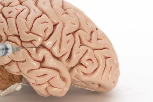 Modelo de agulha, seringa e cérebro humano sobre fundo branco — Fotografia de Stock