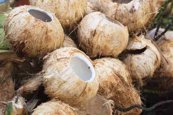 껍질을 벗기고 상단을 절단 한 후 많은 코코넛 껍질 — 스톡 사진