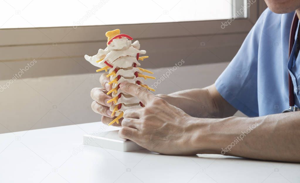 Doctor explaining about spine to the patient