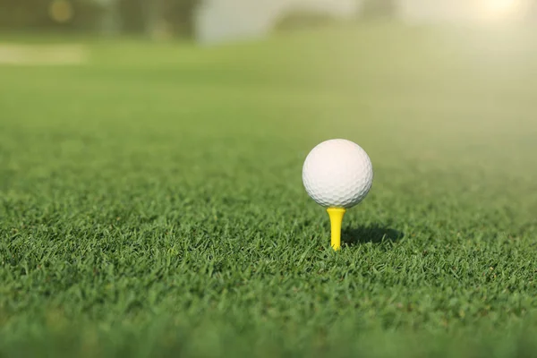 Golflabda a pályán — Stock Fotó