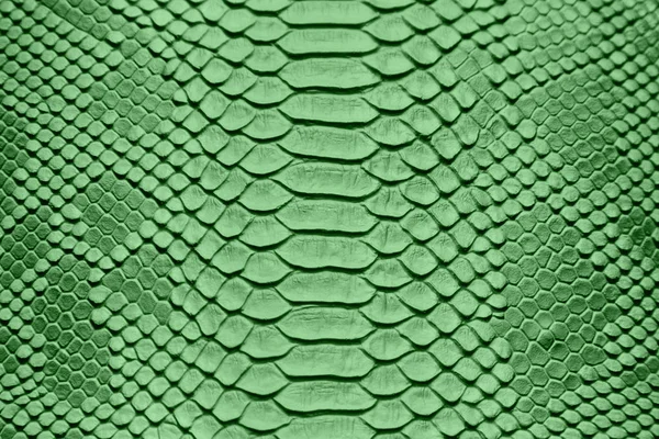 Cilt dokusunu gizlice