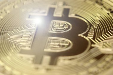 portre üzerinde altın bitcoin
