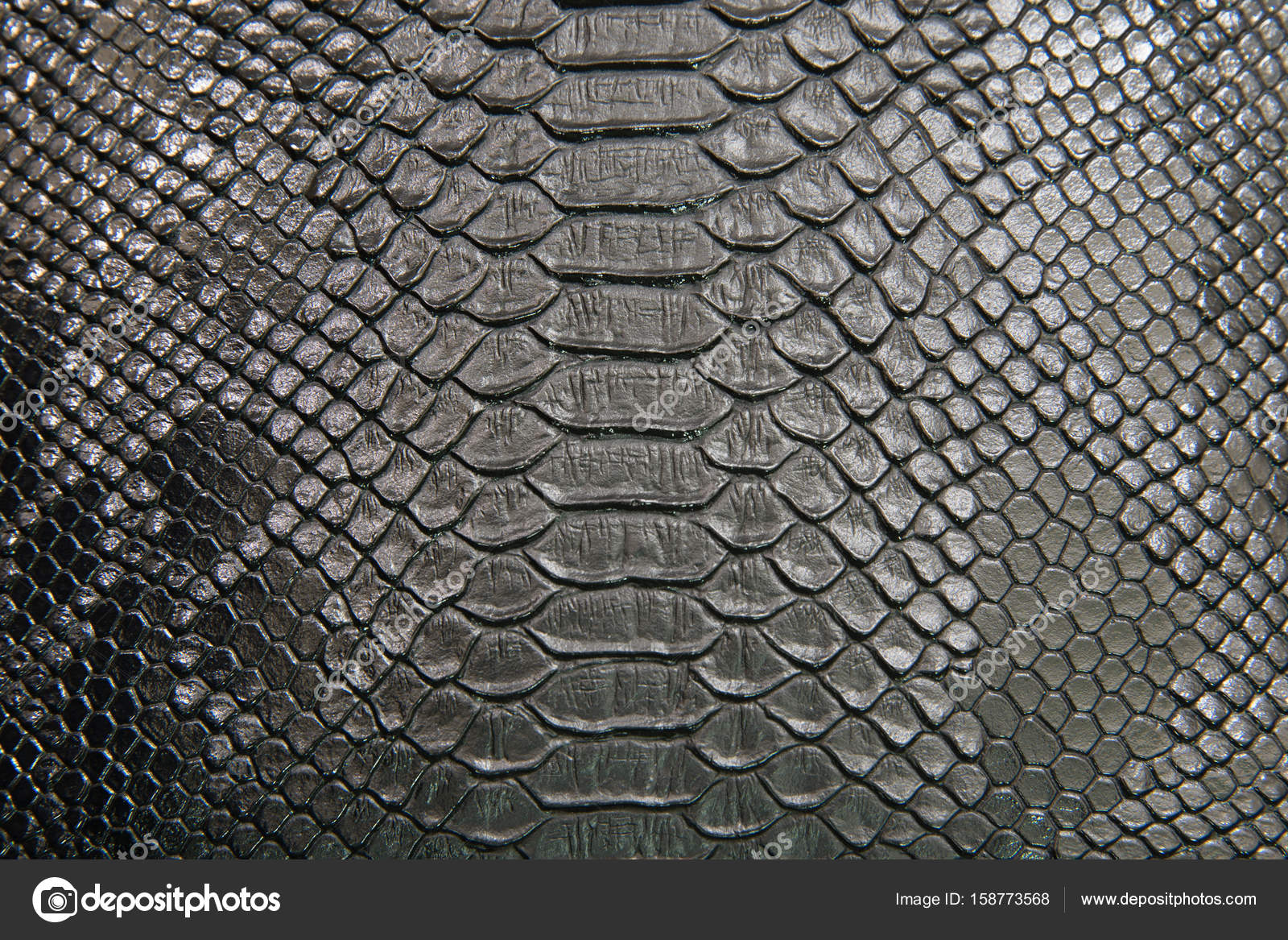 CROCODILE SKIN