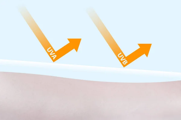 losyon uva ve uvb tarafından korunan kadın kol