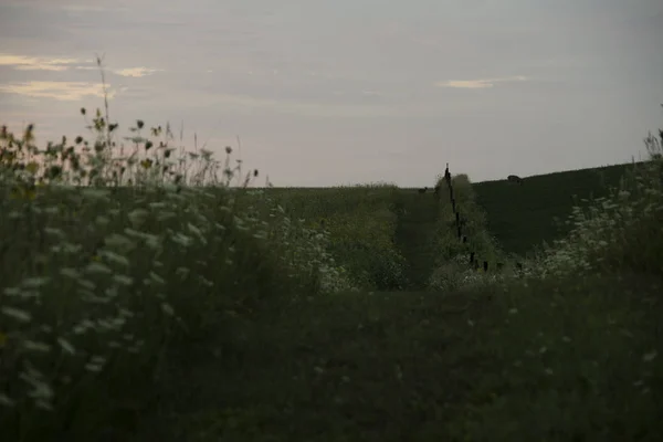 Tidig morgon på trotset State Park i Iowa — Stockfoto