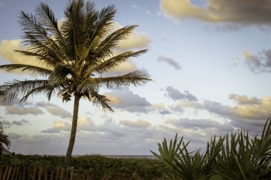 Delray Beach Florida