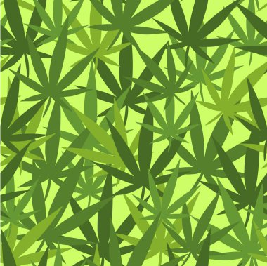 Esrar yaprakları ile yeşil duvar kağıdı