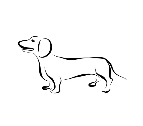 Desenho dachshund silhueta preta — Vetor de Stock
