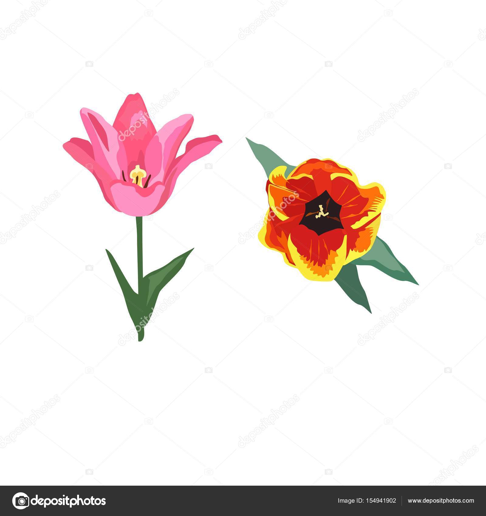 最新リアル 簡単 花 イラスト すべての美しい花の画像