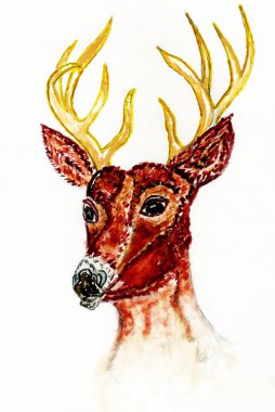 Geyik kafası sanat