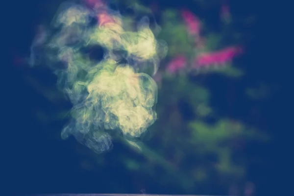 Röka i trädgård Retro — Stockfoto