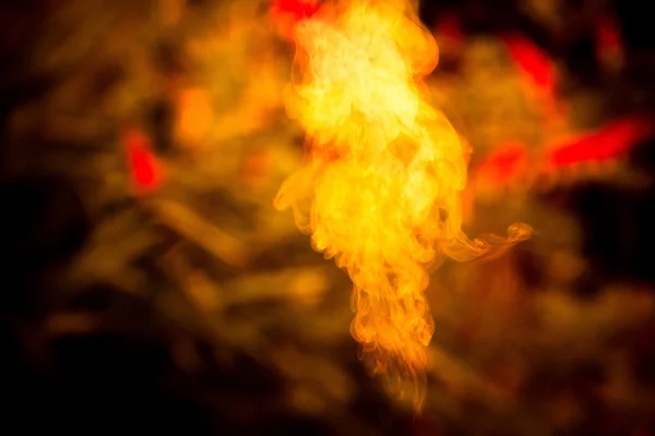 Bahçe Retro duman — Stok fotoğraf