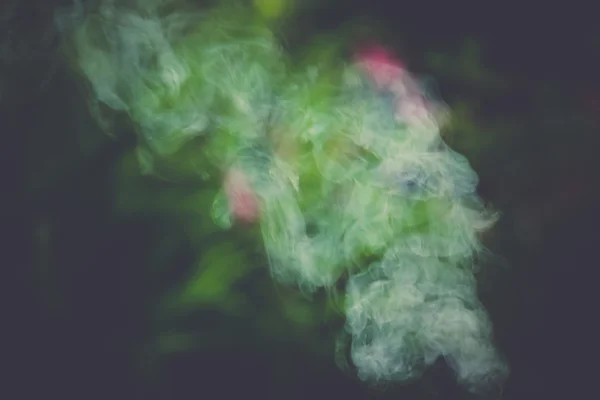 Rauch im Garten Retro — Stockfoto