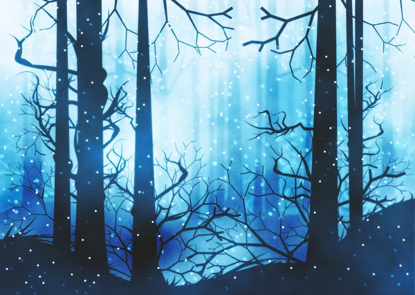 Sötét téli erdő — Stock Fotó