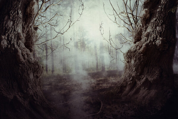 Halloween night background with spooky forest trees in fog.