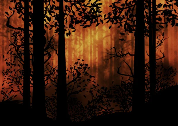 어두운 안개 숲 — 스톡 사진
