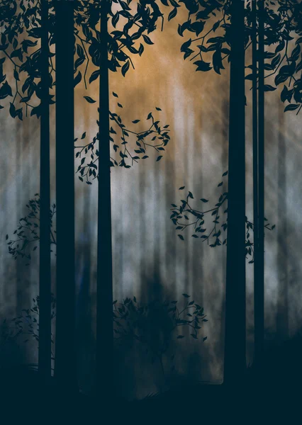 黑暗迷雾森林 — 图库照片