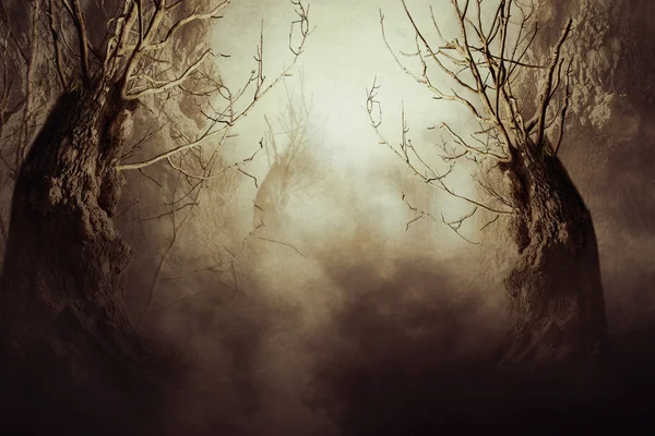 Kísérteties fa, éjszaka ködben — Stock Fotó
