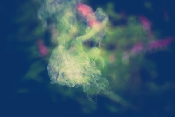 Rauch im Garten Retro — Stockfoto