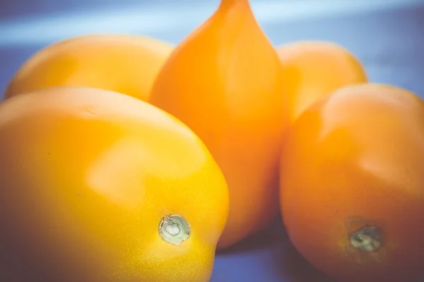 Tomate jaune sur table bleue rétro — Photo
