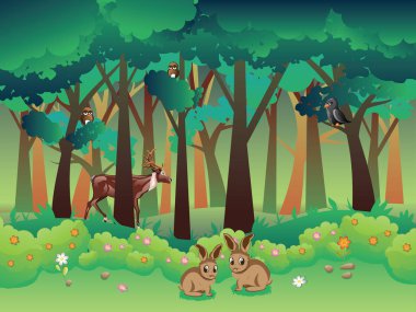 Yaz orman ve hayvanlar