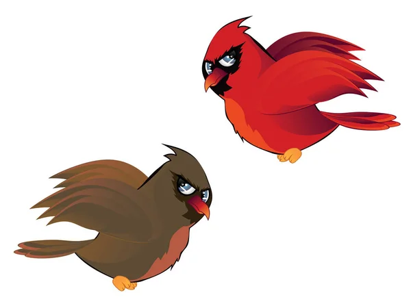 Cartoon Couple of Cardinals — Stock Vector