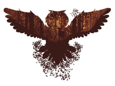 Baykuş ve sonbahar orman manzara