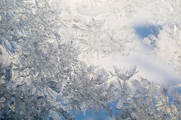 Зимние морозы на окнах
