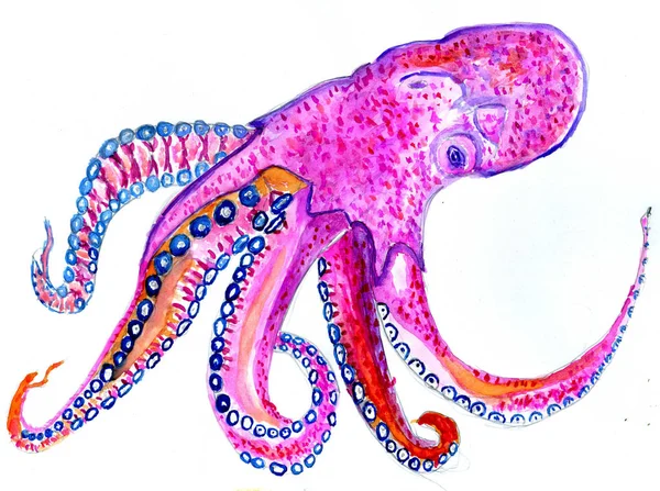 Kleurrijke Octopus kunst — Stockfoto