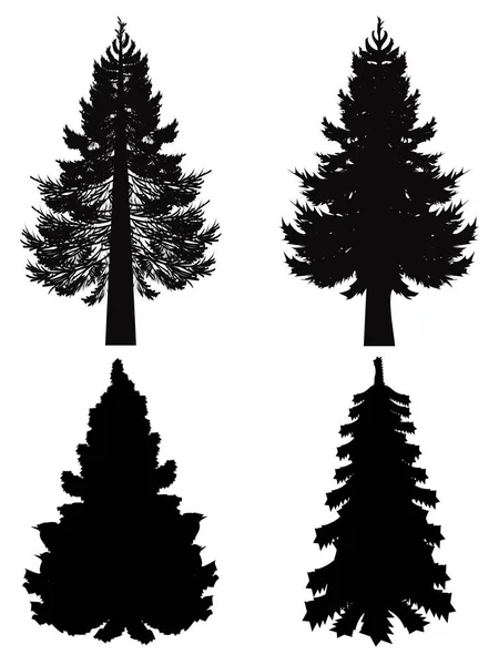 Köknar ağacı siluet — Stok Vektör