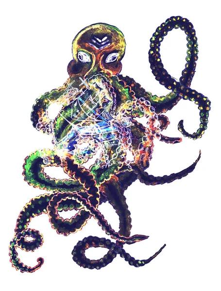 Красочный осьминог — стоковое фото
