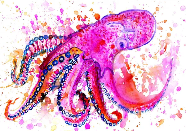 Kleurrijke Octopus kunst — Stockfoto