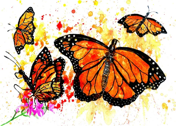 Monarchie-Schmetterlingskunst — Stockfoto
