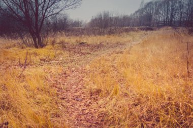 Ağaçlarda sonbahar filtre Park