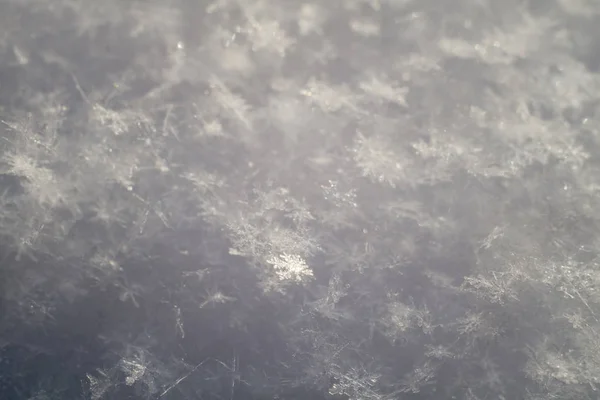 Macro de nieve fresca — Foto de Stock