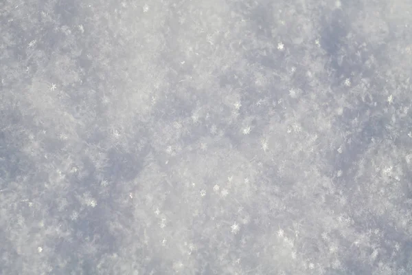 Fresh Snow Macro — Stock Photo, Image