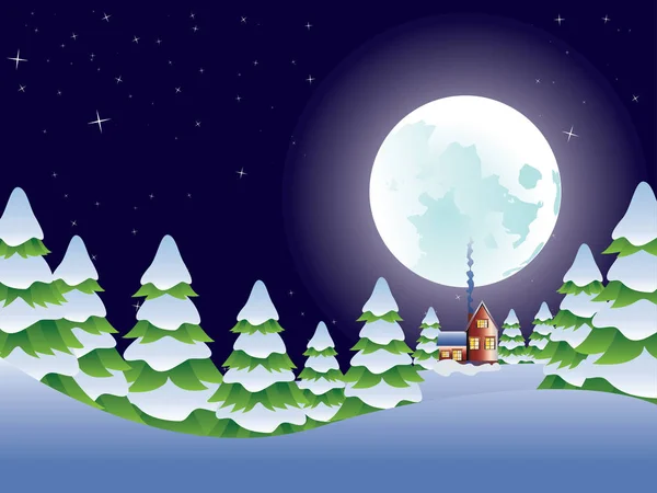 Nacht winterlandschap — Stockvector