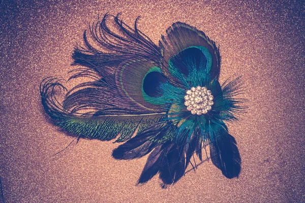 Pacock Feather Hair Clip Filtered — стоковое фото