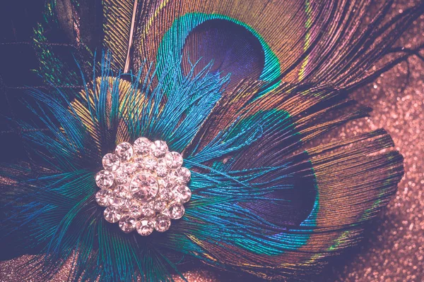 Peacock pluma pelo clip filtrado —  Fotos de Stock