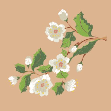 Beyaz çiçek süsleme