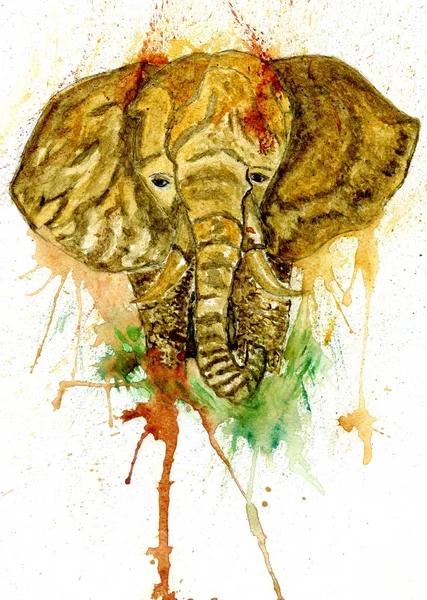 Dibujos animados Elefante Arte — Foto de Stock